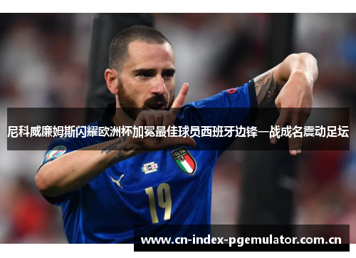 尼科威廉姆斯闪耀欧洲杯加冕最佳球员西班牙边锋一战成名震动足坛